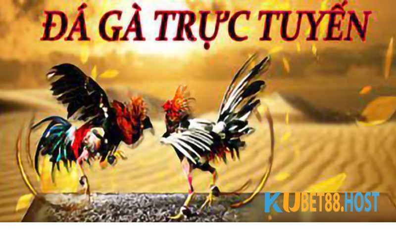 da-ga-truc-tuyen-tai-kubet88